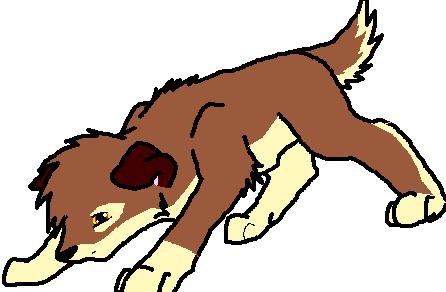 Balto