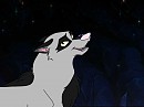 Ravven in the Shadows