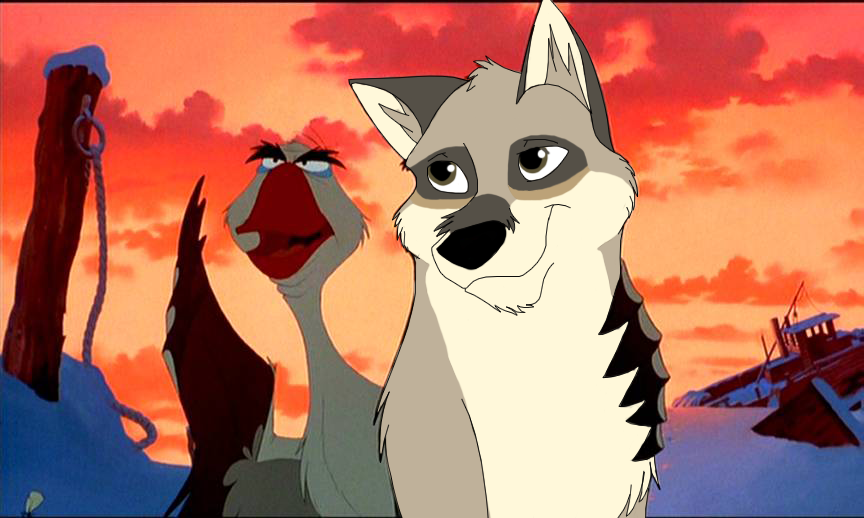 Look at this Kimma
