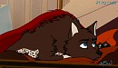   Can I sleap please?   Nova-Request