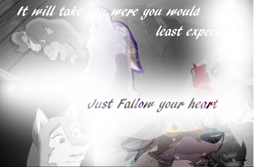 Just fallow your heart