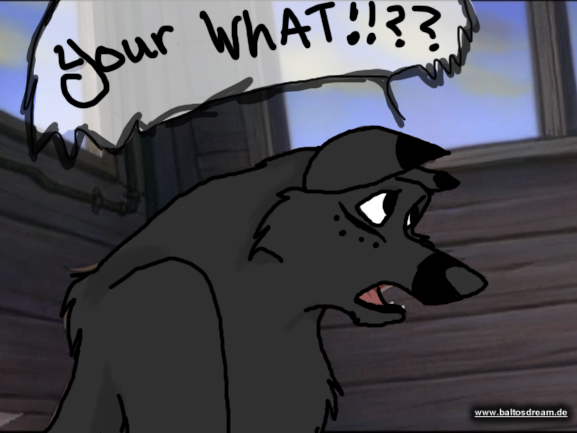 YOUR WHAT??!!