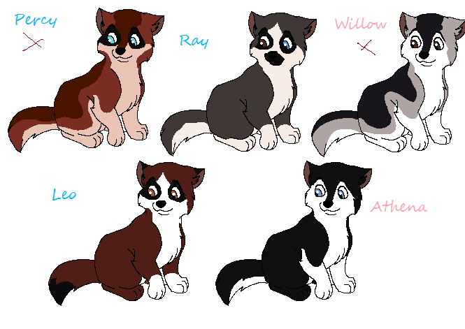 Steele X Rei Puppies for adoption