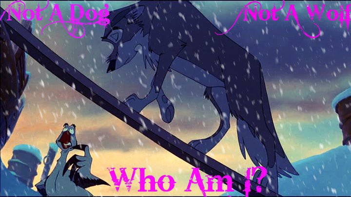 Not a Wolf, Not A Dog