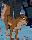 New Nanook