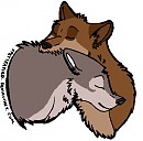 Kita X Nanook