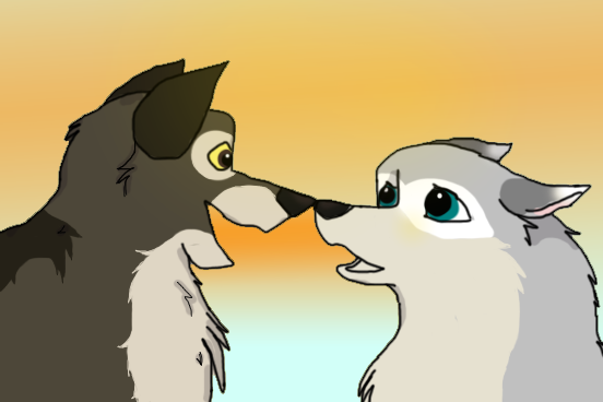Contest entry