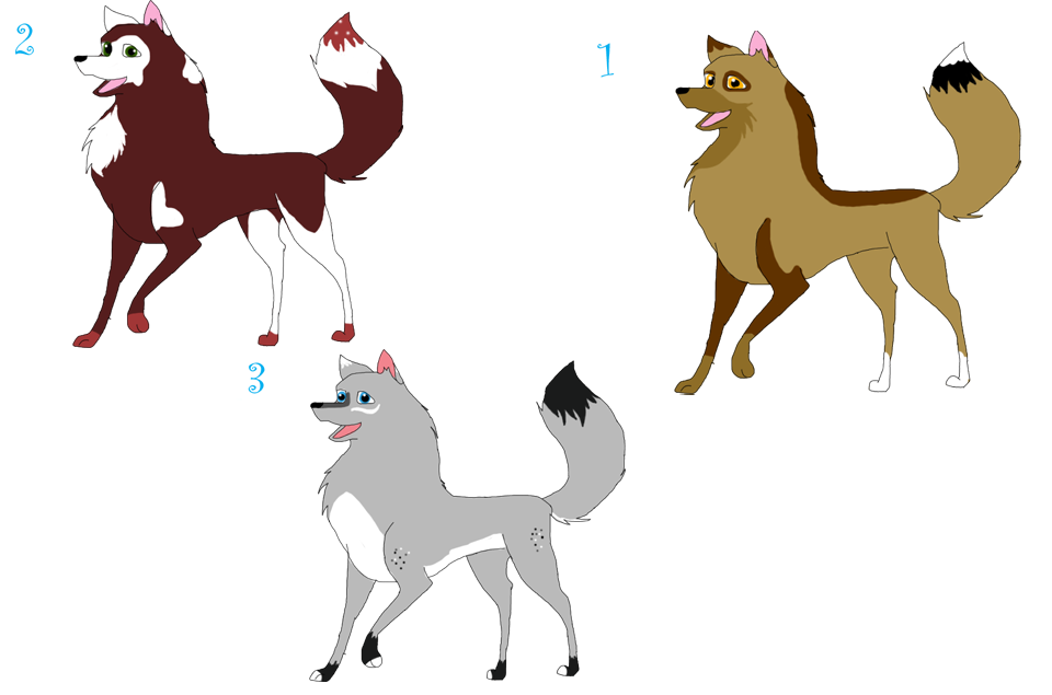 Adoptable batch (female)