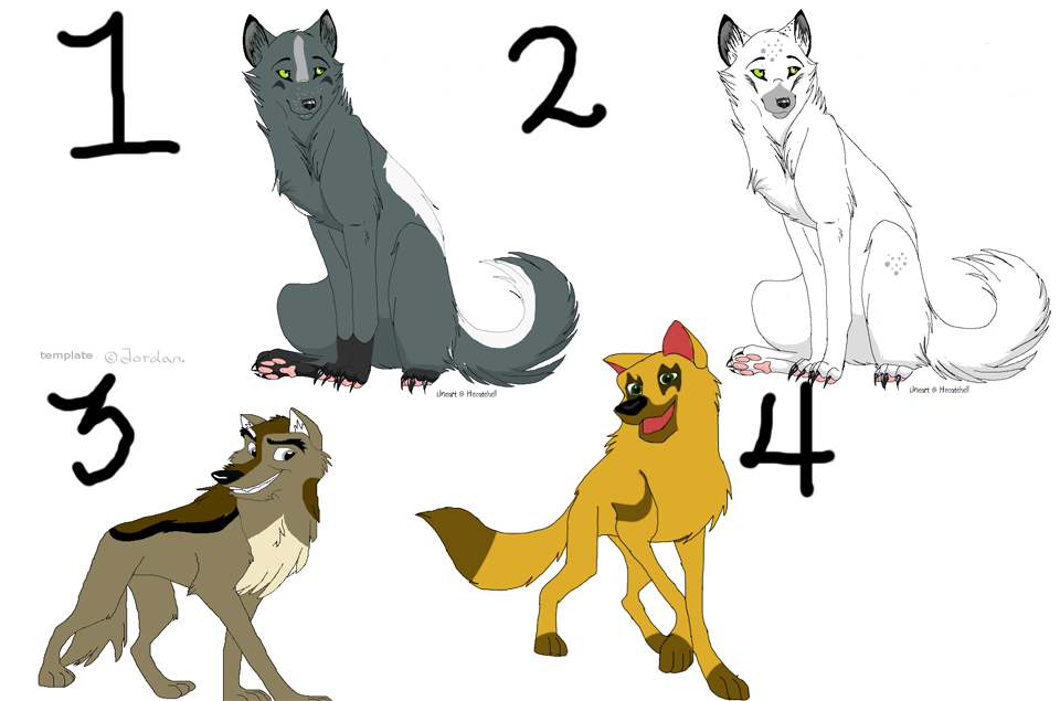 New adopts