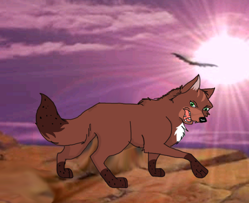 Rawr