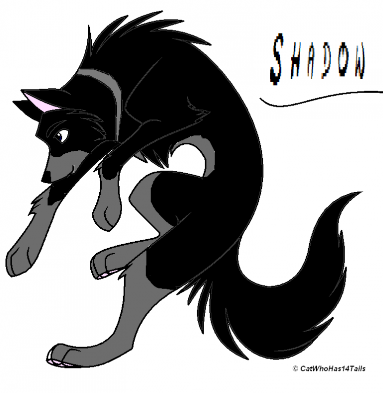 My new char