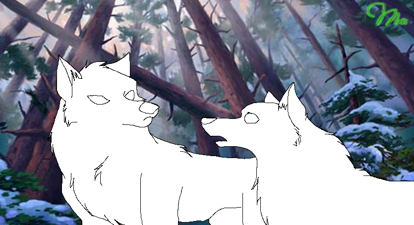 Arguing wolves lineart