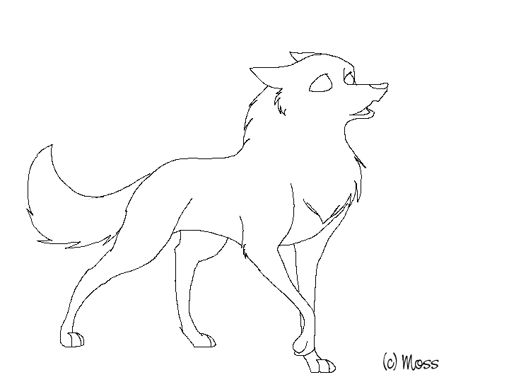 Lineart