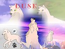 Dusk