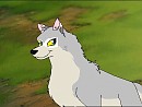 Nyra