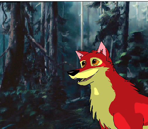 dingo for wicked