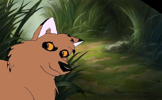 Rhoscoe