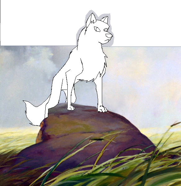 blank render