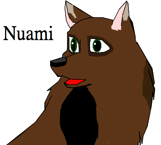 Nuami