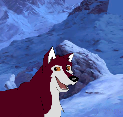 Dakota for meh buddy Ambi/flight