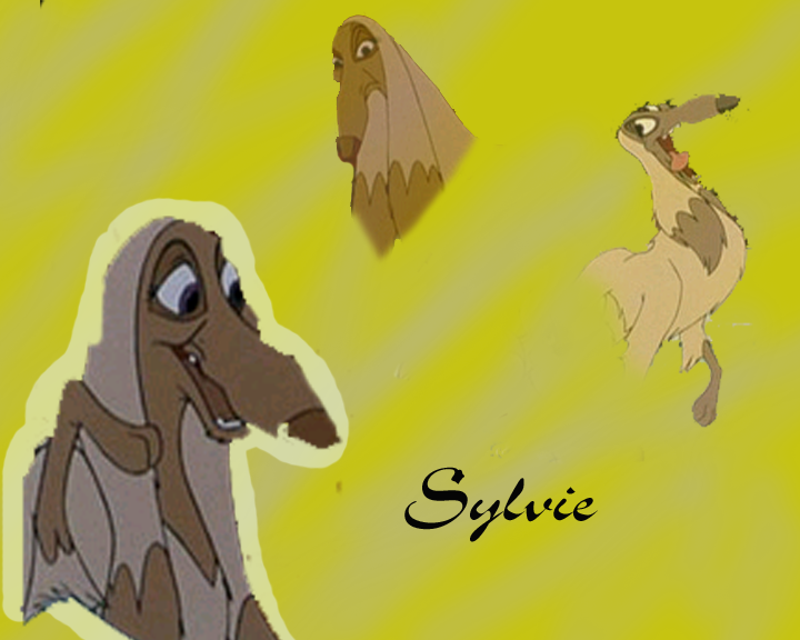 Sylvie siggy