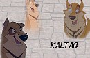 Kaltag siggy