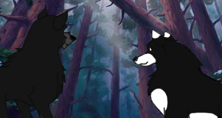 a new couple