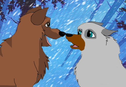 new couple