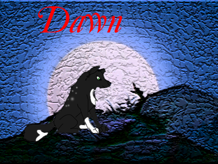 dawny!