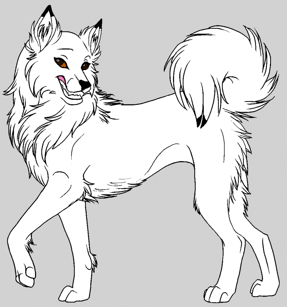 aniu 