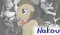 Nakou