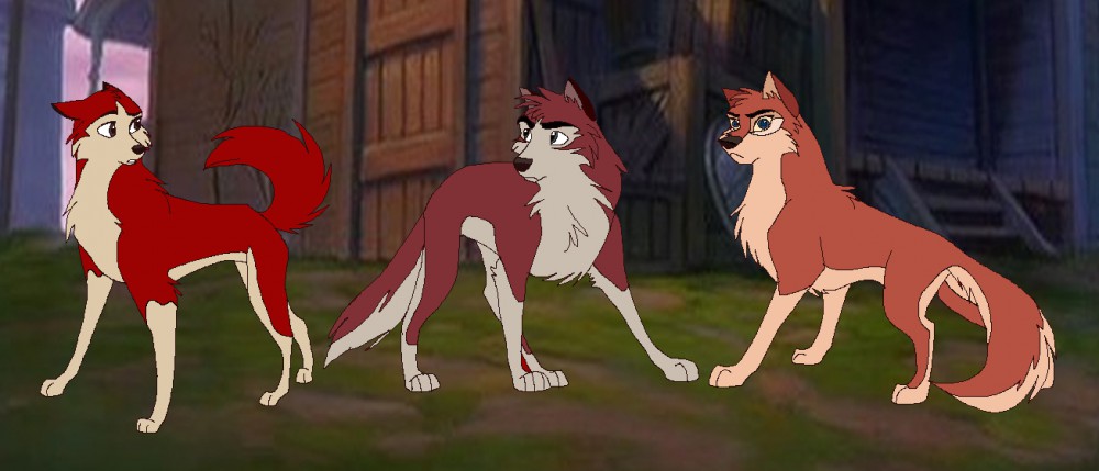 Balto's other pups older