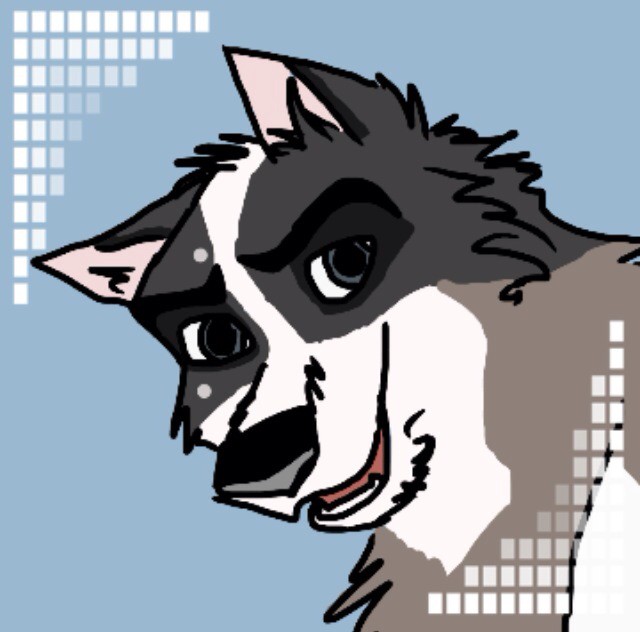 Oynx avatar
