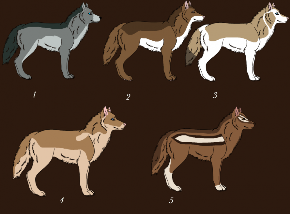 Balto adoptables