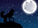 Talking to the Moon