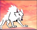 White wolf