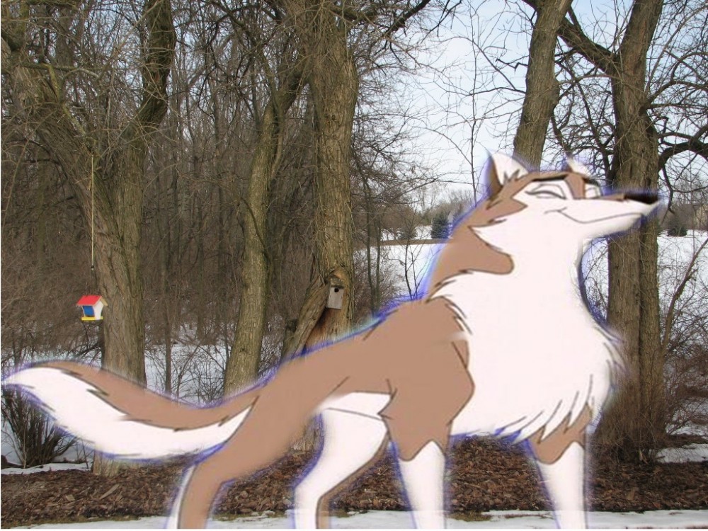 Aleu in a winter wonderland