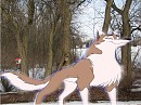 Aleu in a winter wonderland