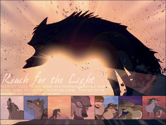 Reach for the Light