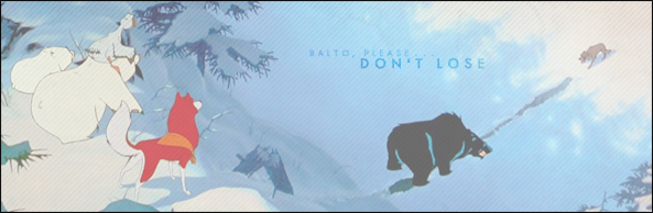 Don't Lose