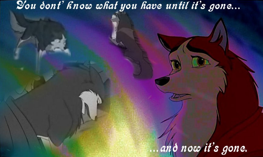 You Don't Know What You Have...