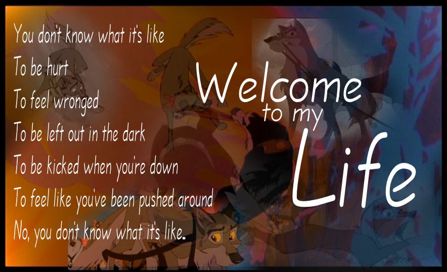 Welcome to Balto's Life