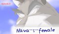 nava_s_female