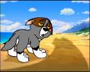eva as a pup.