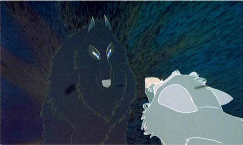 the BLACK wolf?