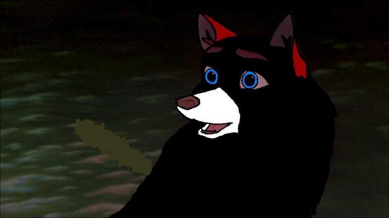 Request: Mightnight rose for blueeyedwolf