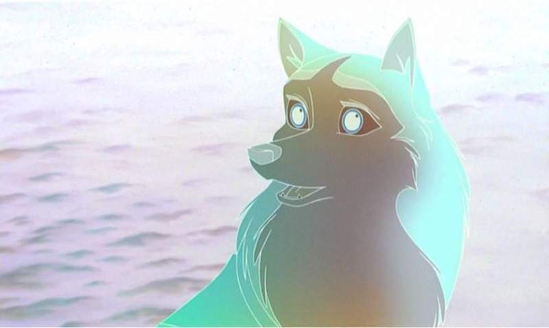 neon husky @ sea