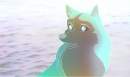 neon husky @ sea