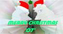 MERRY CHRISTMAS BALTO SOUCE!