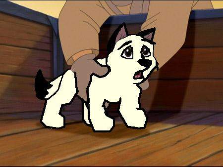 Ciani's pup: Carri
